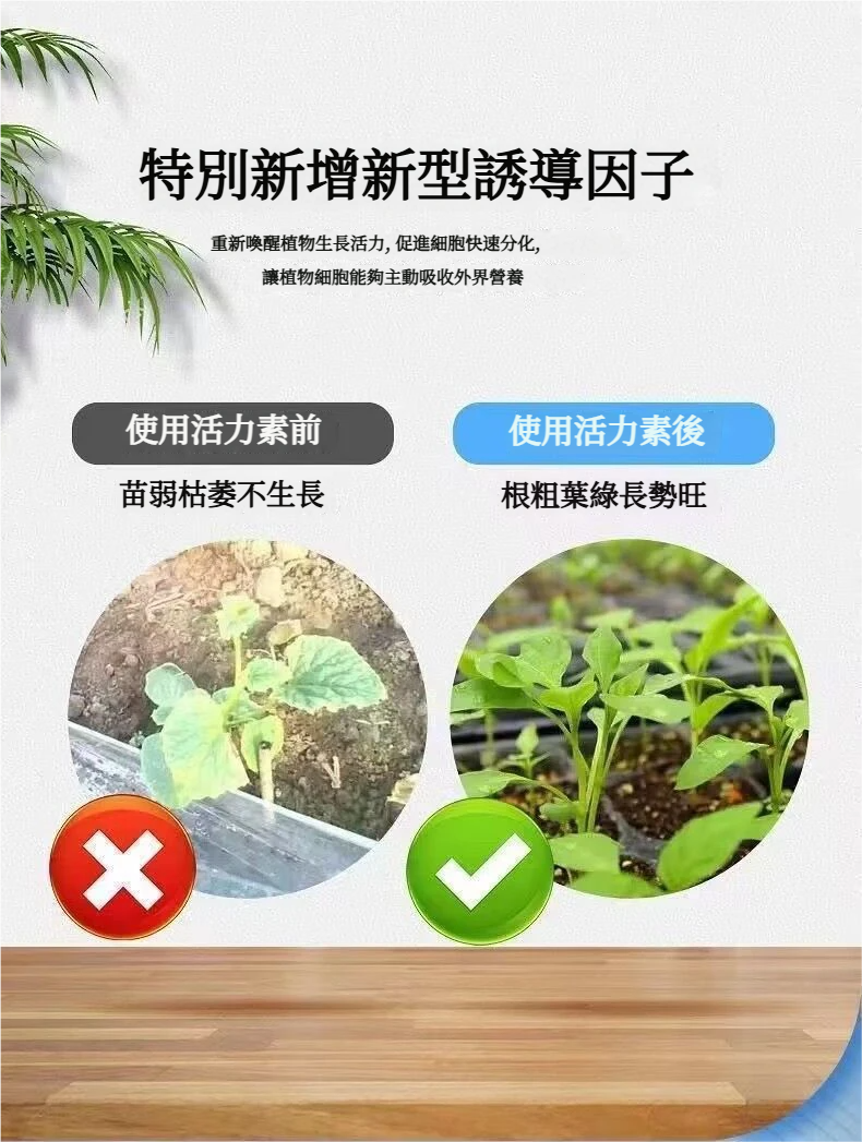 1781519614119965.webp